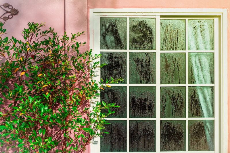 Why Is a Home Dehumidifier Important? Glass door with condensation and a tree