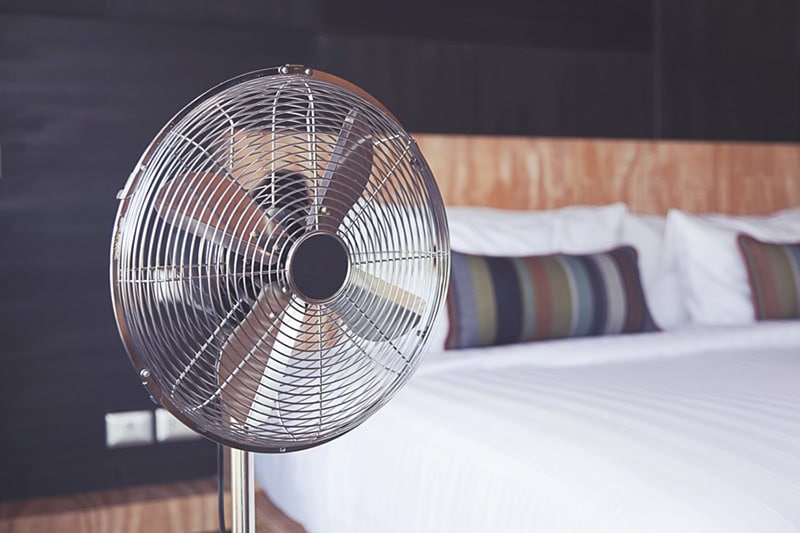 Fan in Room
